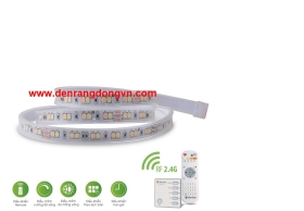 Đèn Led dây RD - LD01.RF 